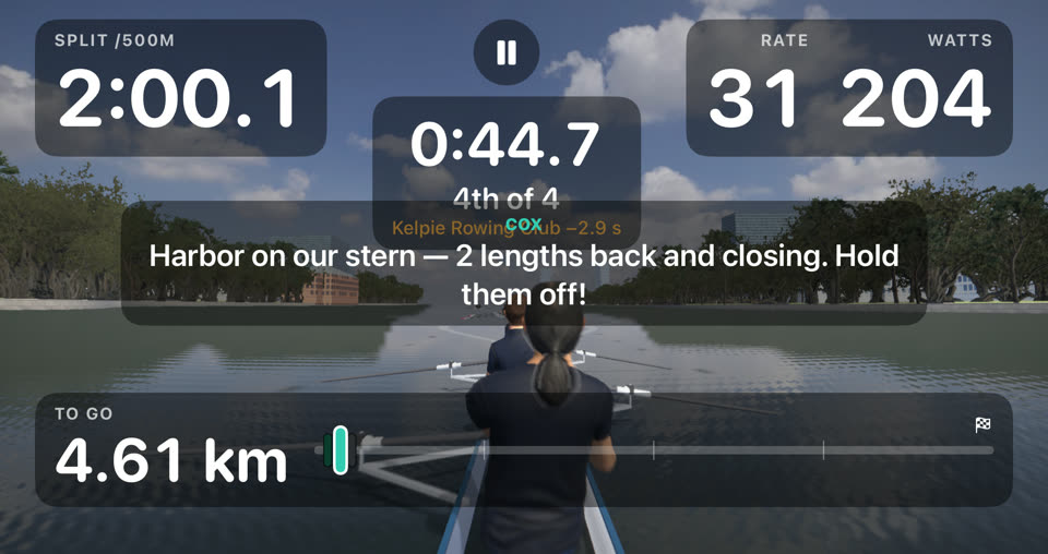 The same race seen from a head-mounted camera view